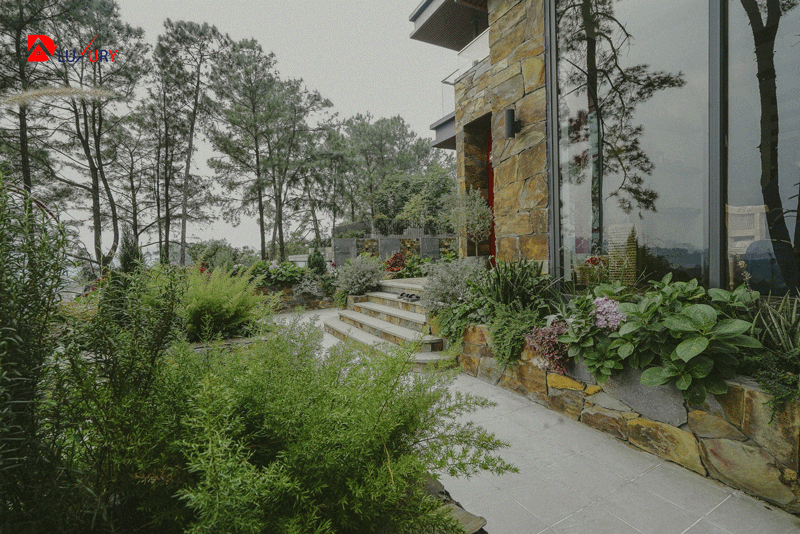 VINTAGE VILLA – TAM ĐẢO - Ảnh 3