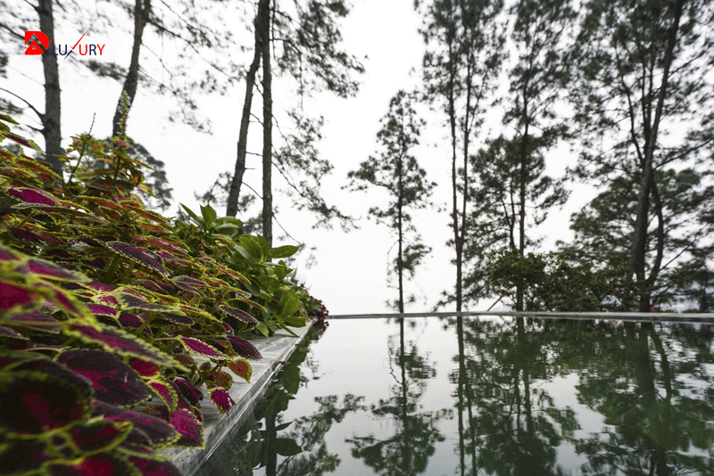 VINTAGE VILLA – TAM ĐẢO - Ảnh 4
